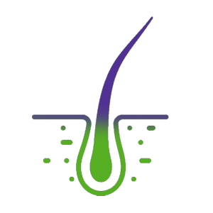 icono analisis capilar copia